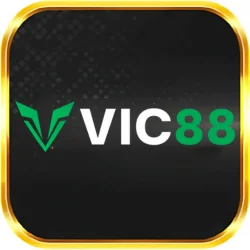 VZ99 24 vic88